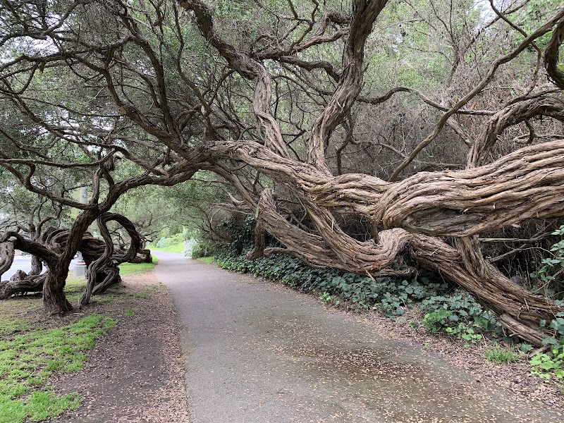 Lindley Meadow Picnic Area