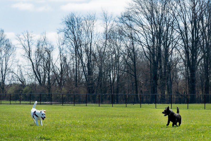 Dog Park