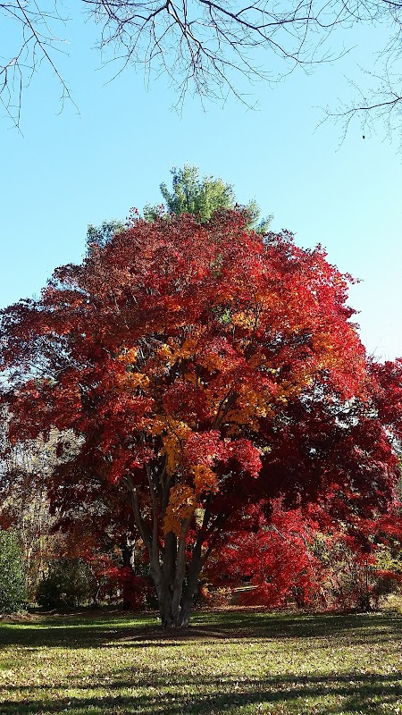 Sharp's Woods Preserve