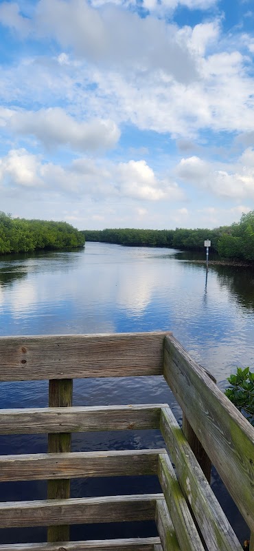 Upper Tampa Bay Park Shelter 7