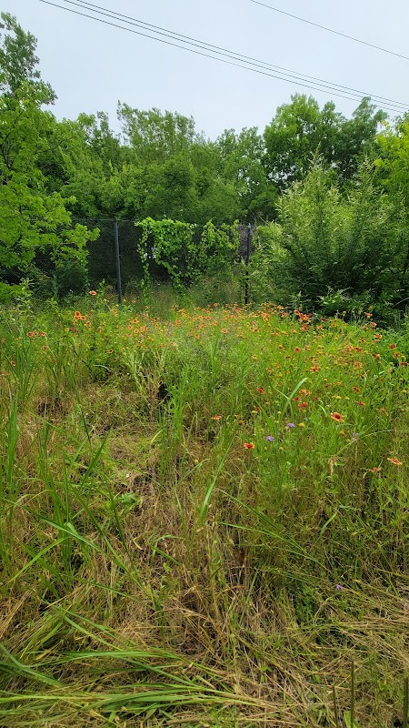 The Wildlife Sanctuary @ Dallas College Mountain View