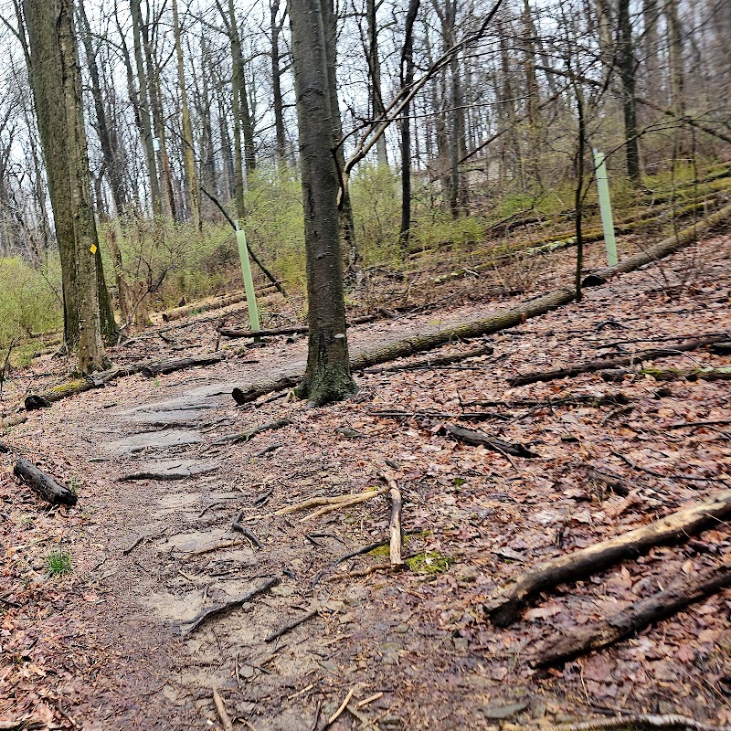 Wildlands Conservancy's Brenner-Penfield Macungie Mountain Preserve