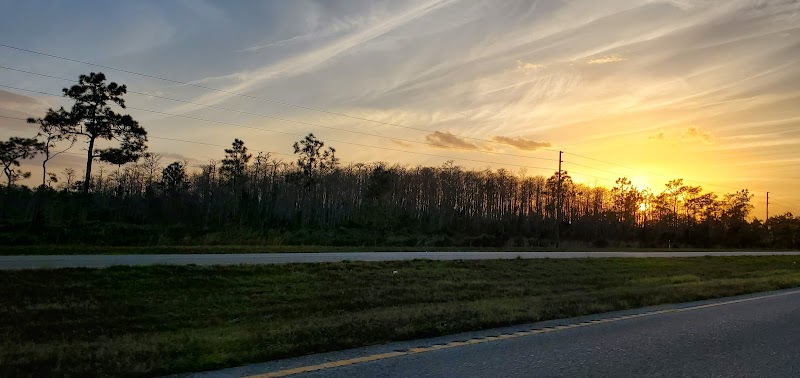 Holopaw State Forest