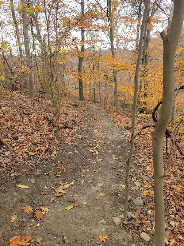 Short Line Hollow Nature Area, Cemetery Lane Trailhead