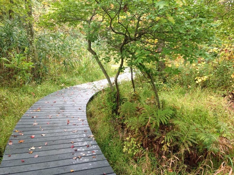Jane E. Lytle Memorial Croton Arboretum