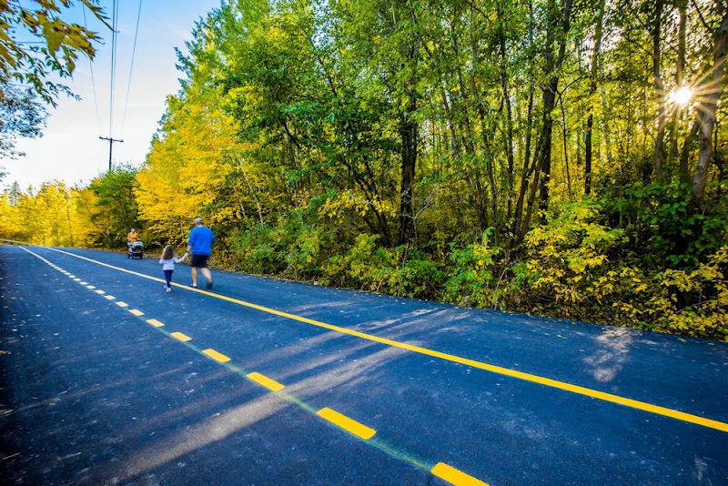 Wedgewood Trail Head / Cameron Heights