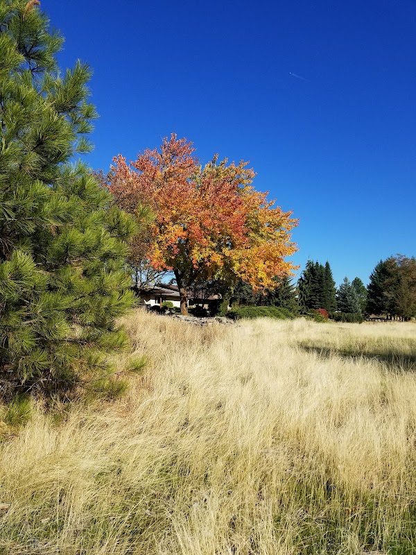 Drumheller Springs Historical Park