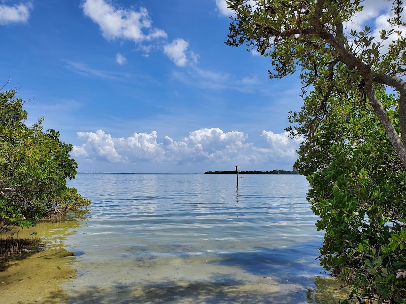 Gandy Beach Mangroves