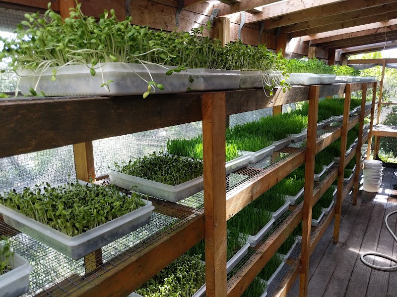 Pine Island Botanicals, Inc