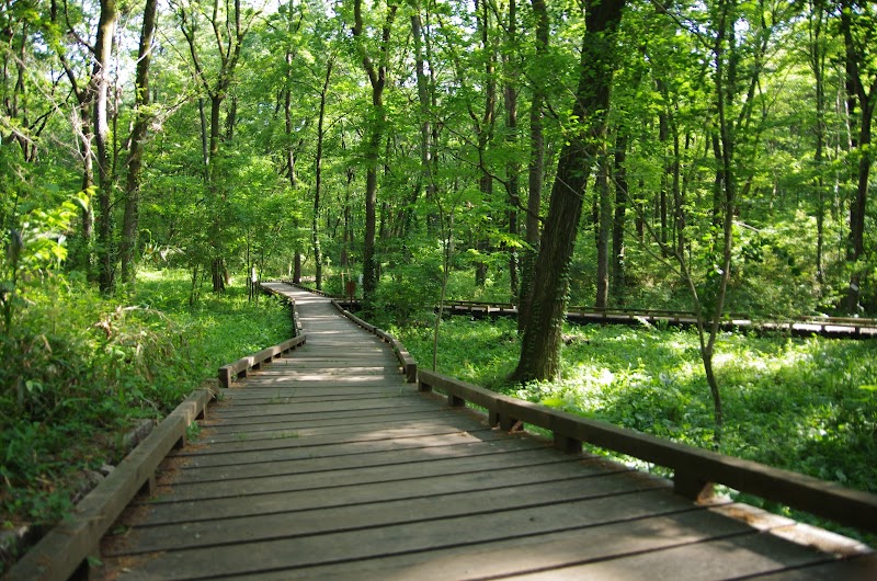 Komiya Park