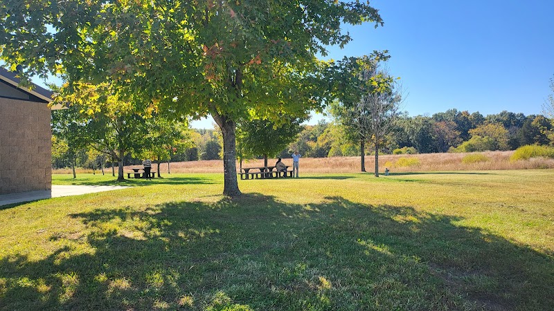 Brownsville Picnic Area