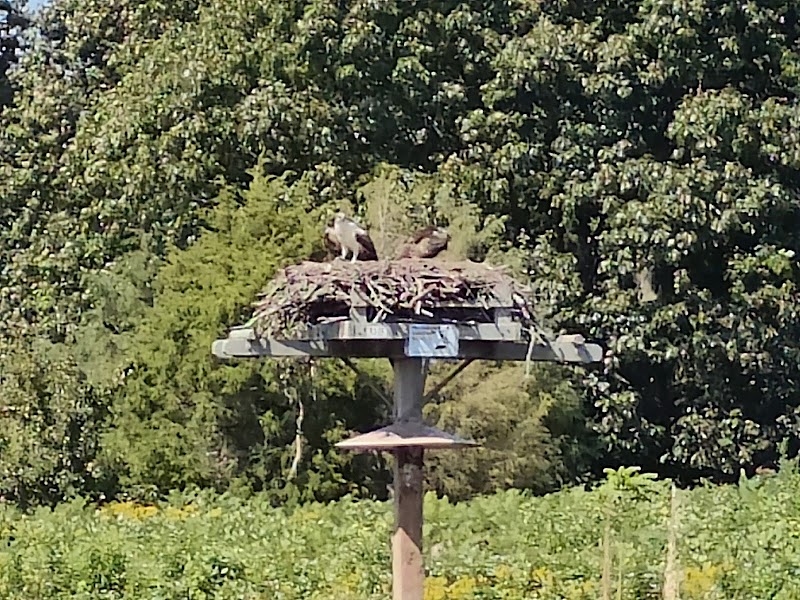 Fence Creek nature estuary