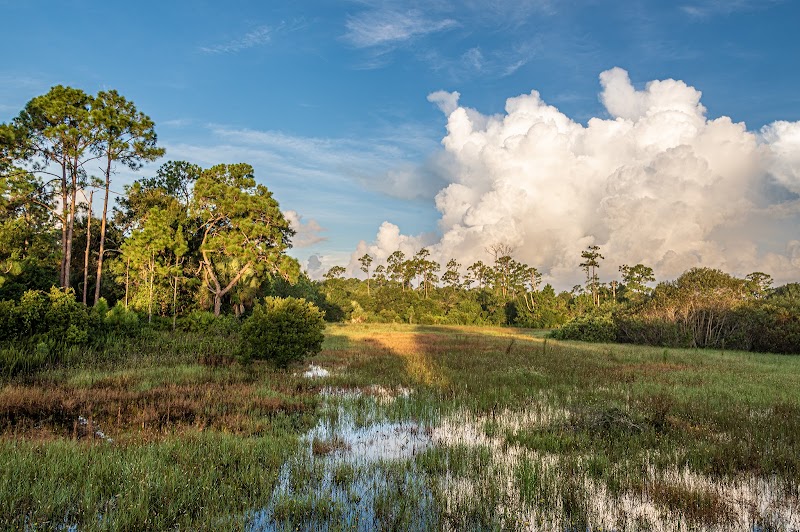 Prairie Pines Preserve