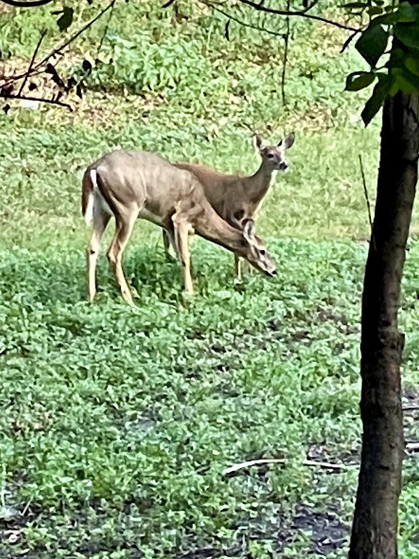 Schuylkill River Trail - Port Indian Trailhead