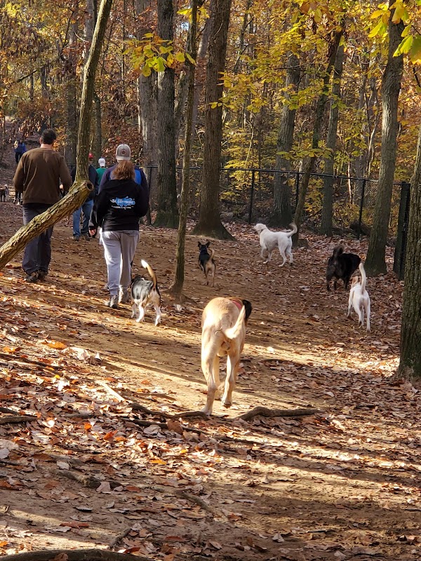 Camden Co Os Plan & State A