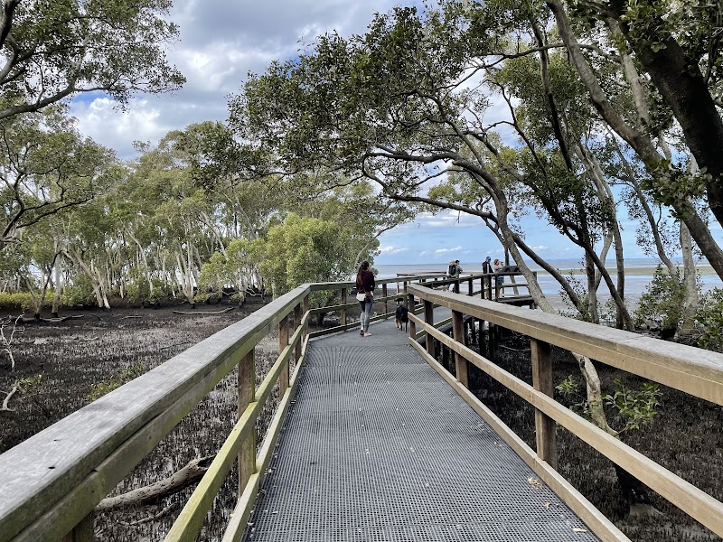 Wynnum Mangrove Boardwalk