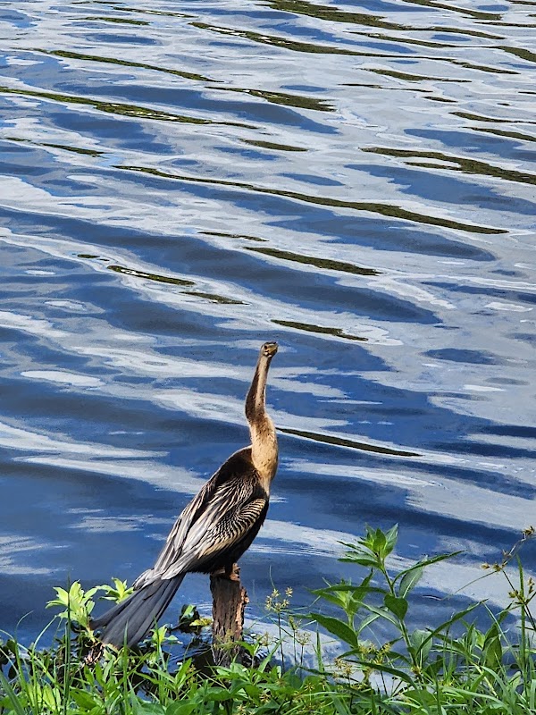 Shore Drive Waterfront Park