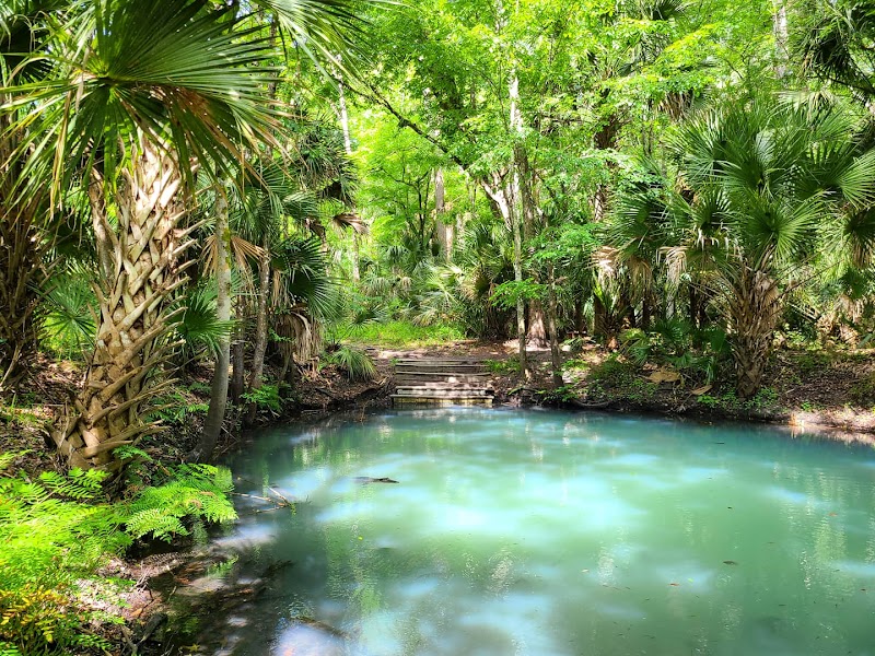 Spring Hammock Preserve