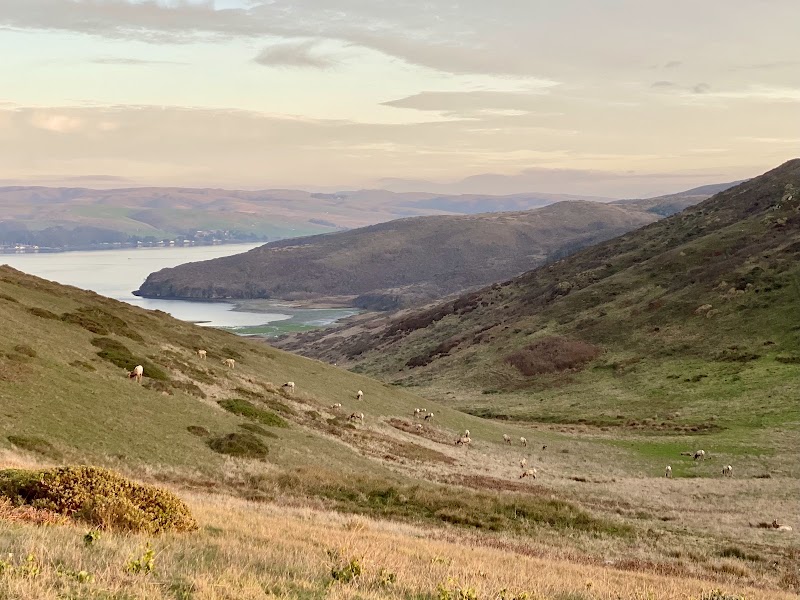 Tomales Point Trailhead