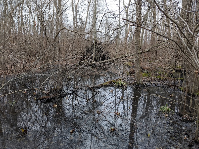 Babylon Park Ave Tennis Courts and Trails