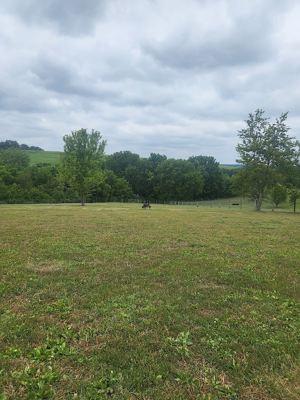 West Manheim Recreation Park Ballfields