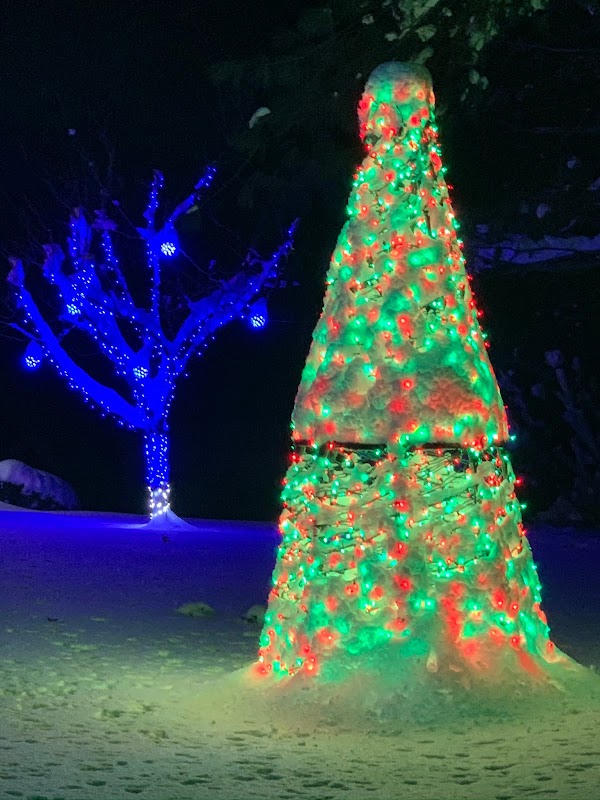 Christmas in the Kings