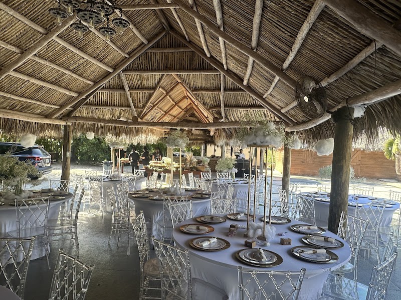 Hacienda Pinar Party