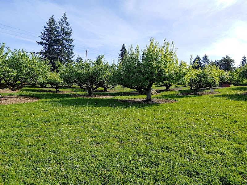 Curran Apple Orchard Park