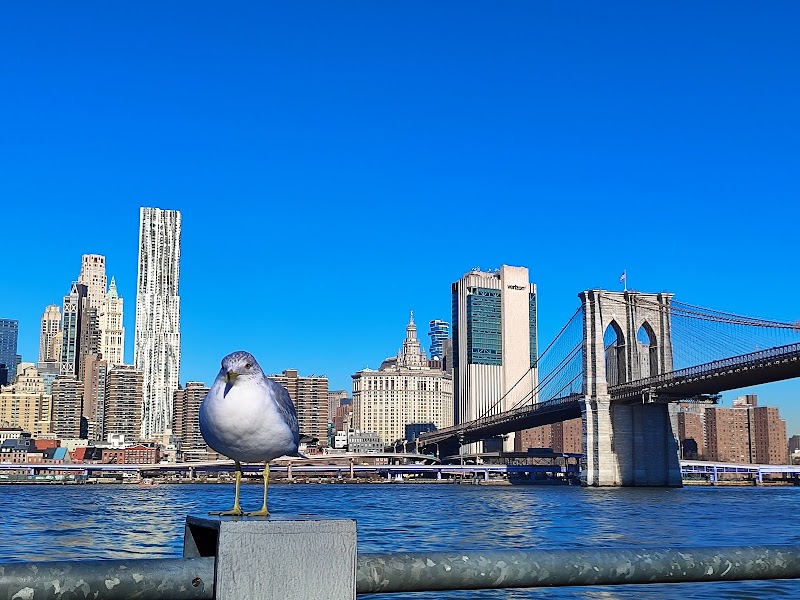 Brooklyn Bridge Park