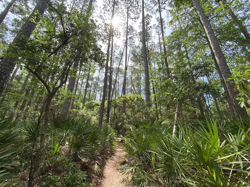 Audubon Newhall Preserve