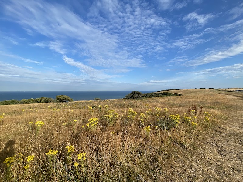 Beachy Head Ringing Station