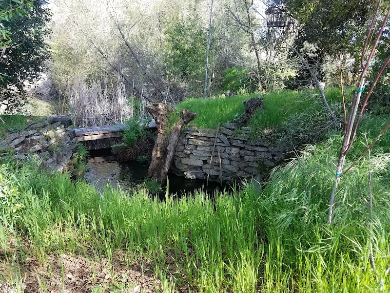 Bryan Osborne Nature Center