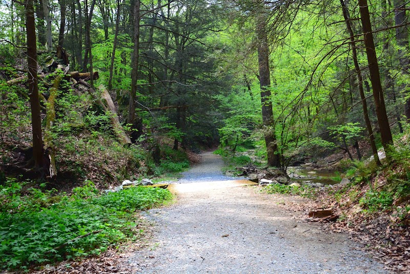Ferncliff Wildlife & Wildflower Preserve