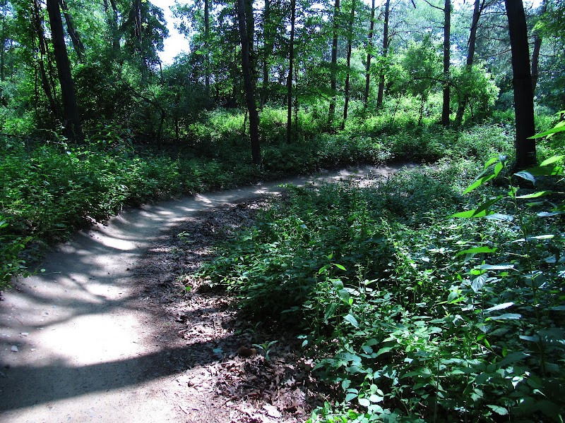 Roller Coaster MTB Feature