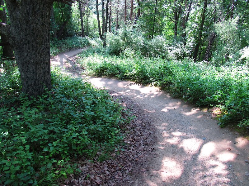 Roller Coaster MTB Feature