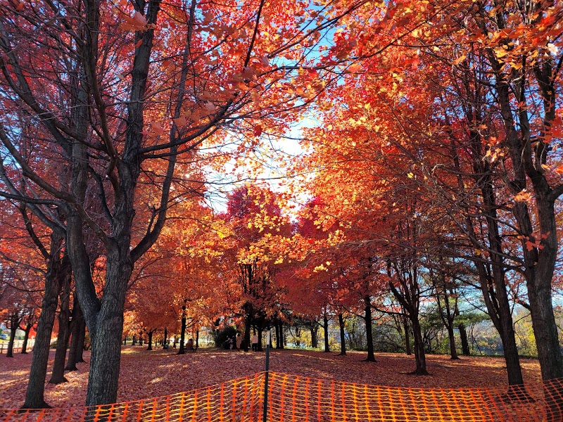 Kearny Riverbank Park