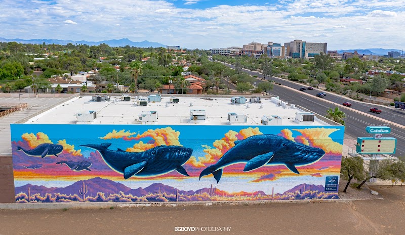 Whale Mural by Joe Pagac