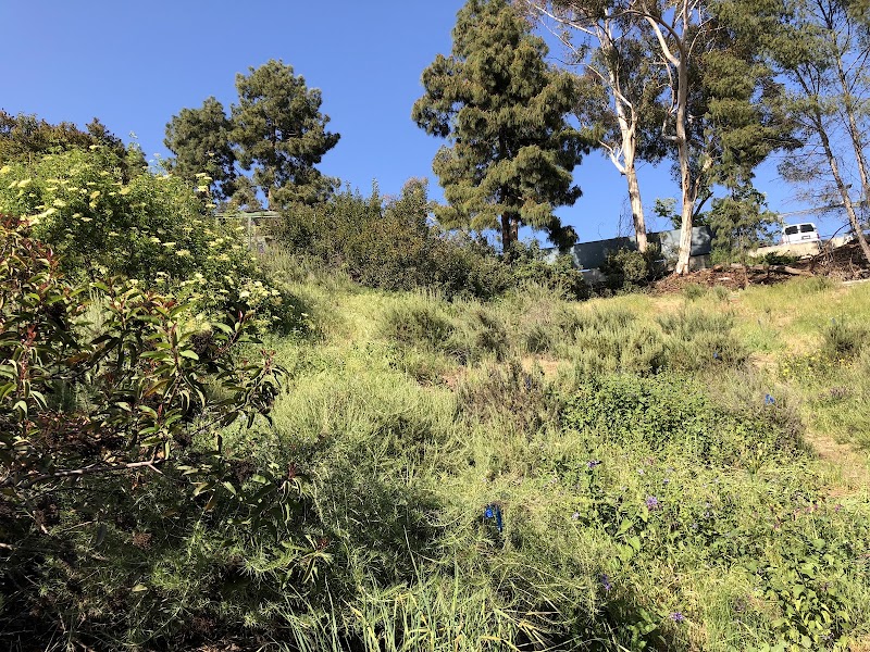 Sage Hill Native Plants & Wildlife Habitat