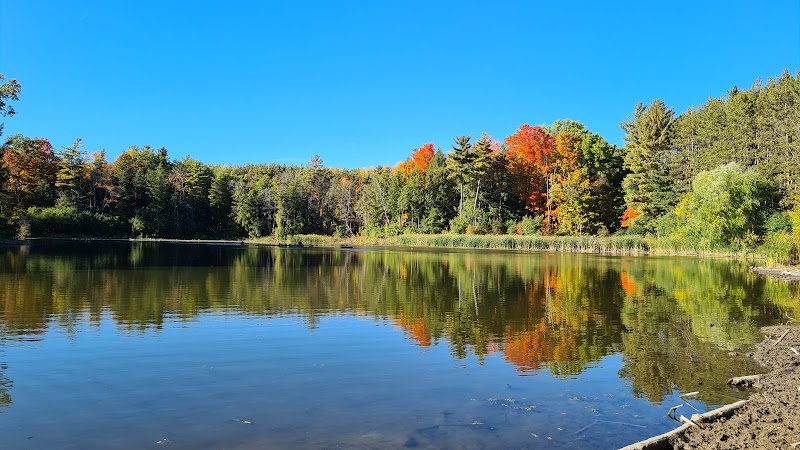 Huron Natural Area