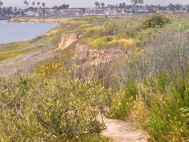 Bolsa Chica Conservancy