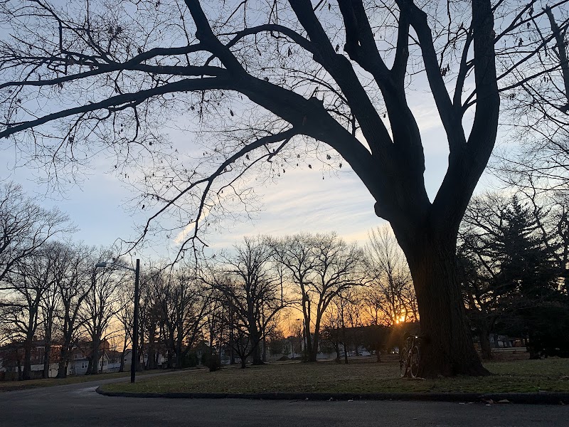 Caxton Brown Memorial Azalea- Rhododendron Garden