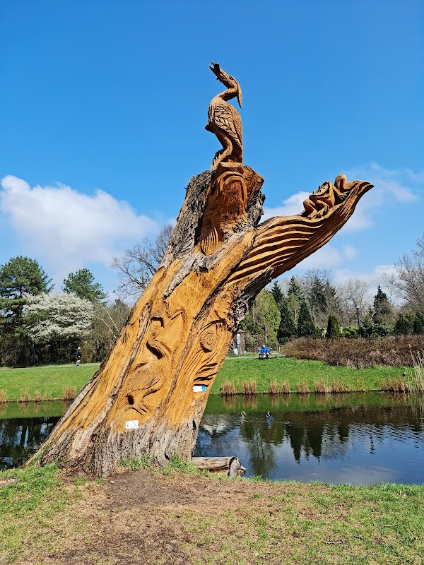 Pelikan, żaba i czapla