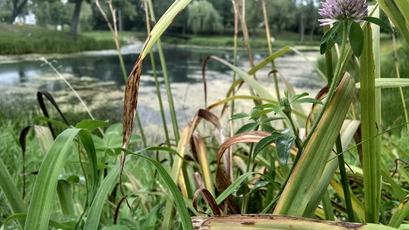 Pauquette Park Shelter #2