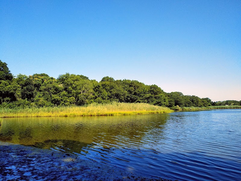 Soak Hides Preserve