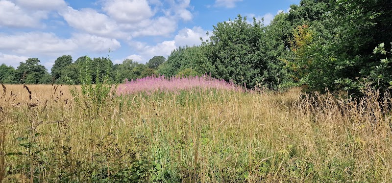 Shawbury nature park