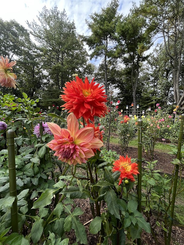 Bayard Cutting Arboretum