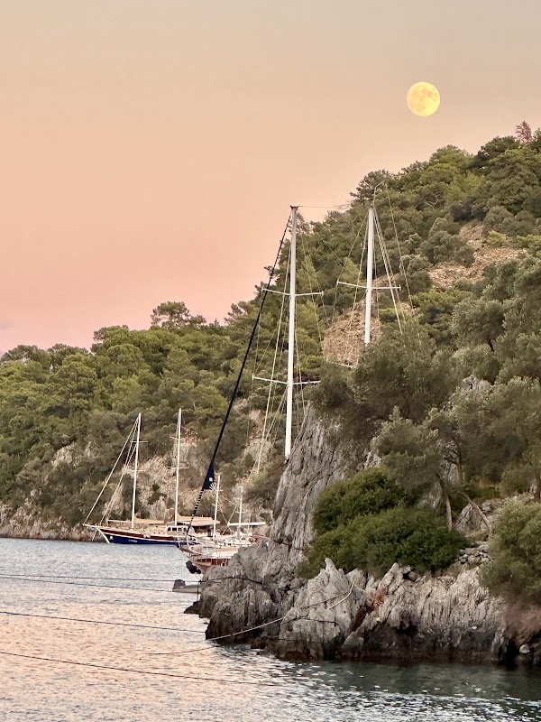 Goat Bay