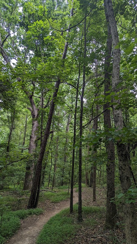Ballantyne Park
