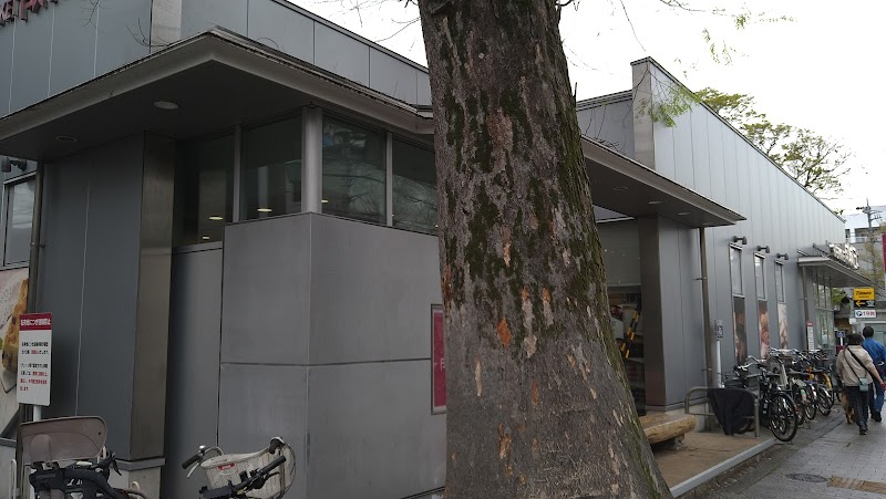 保存樹木 ケヤキ