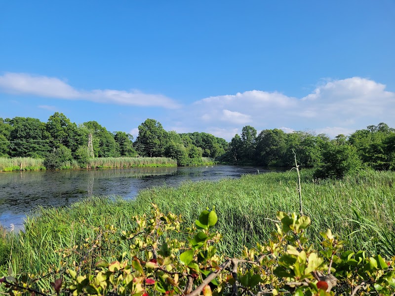 Arshamomaque Preserve